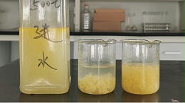 聚硅酸铝植物油废水处理效果