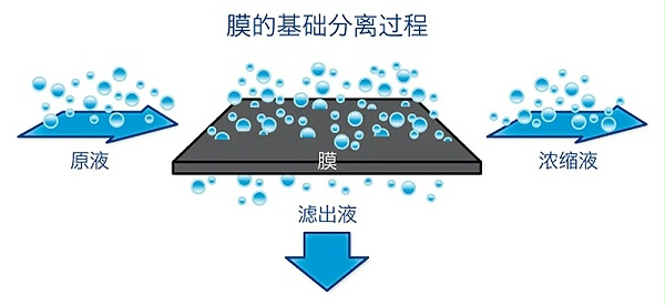 膜分离技术.webp